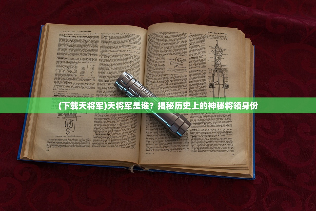 (神兽金刚手游怎么玩才厉害)神兽金刚手游攻略大全，玩转游戏的关键步骤与技巧