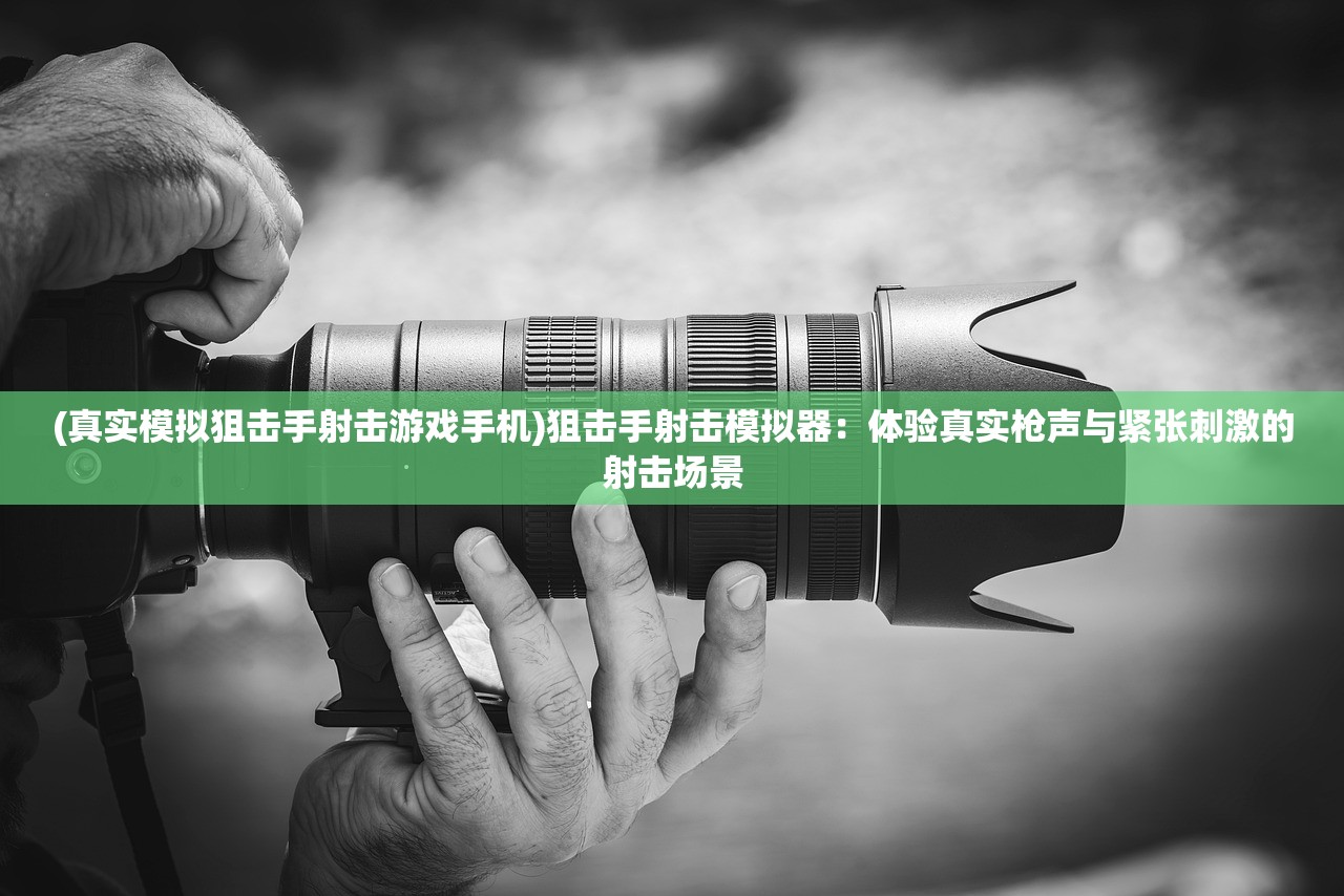 (寻侠家将搭配)寻侠之侠影四星家将大全，角色解析与常见问题解答