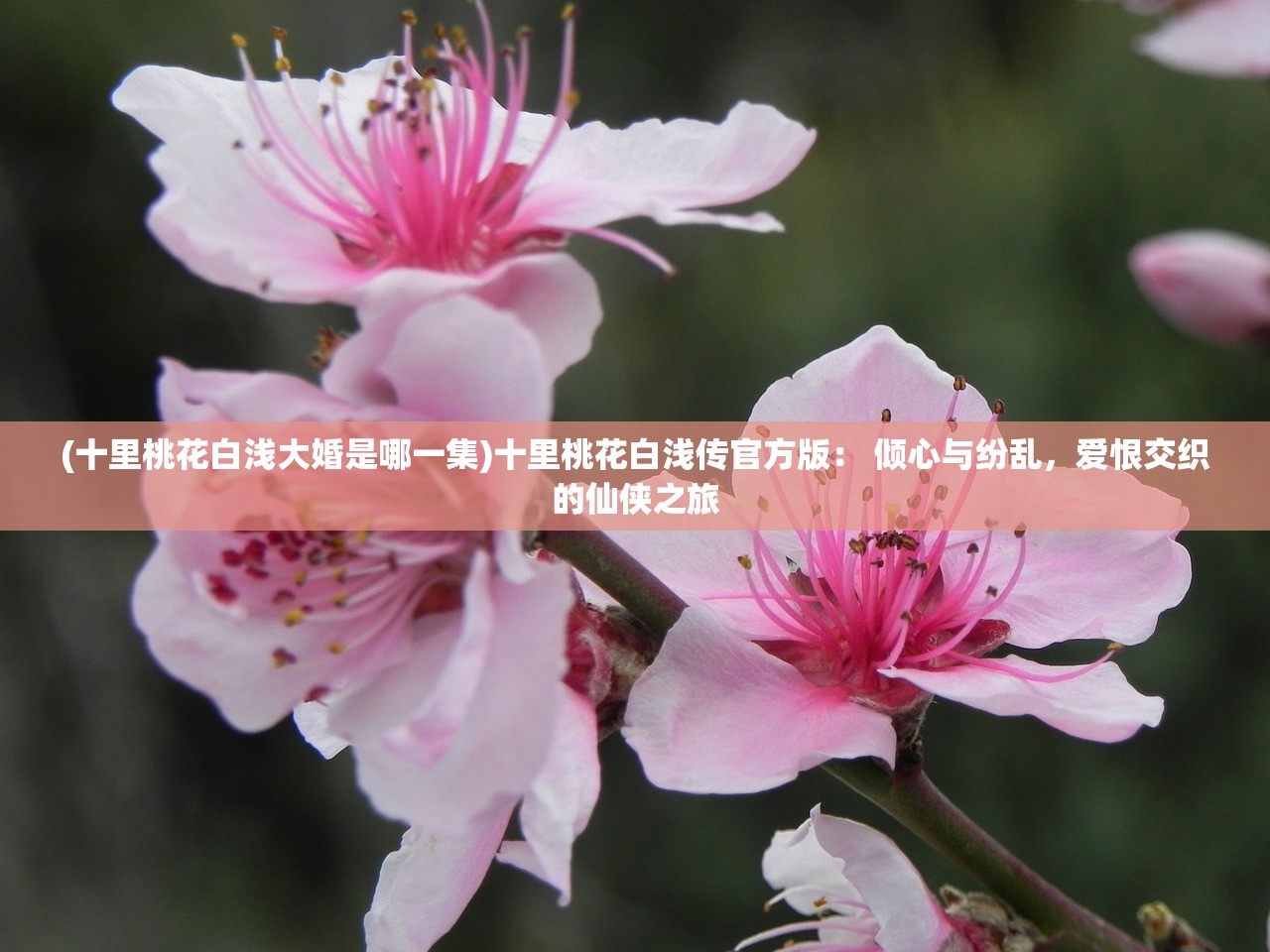 (漫威对决官网下载)漫威对决下架原因深度解析