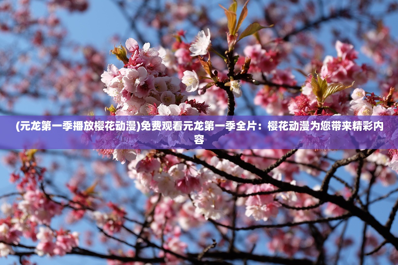 (主角是陆沉的小说)陆沉的IG职业之路，追梦电竞之路的坎坷与挑战
