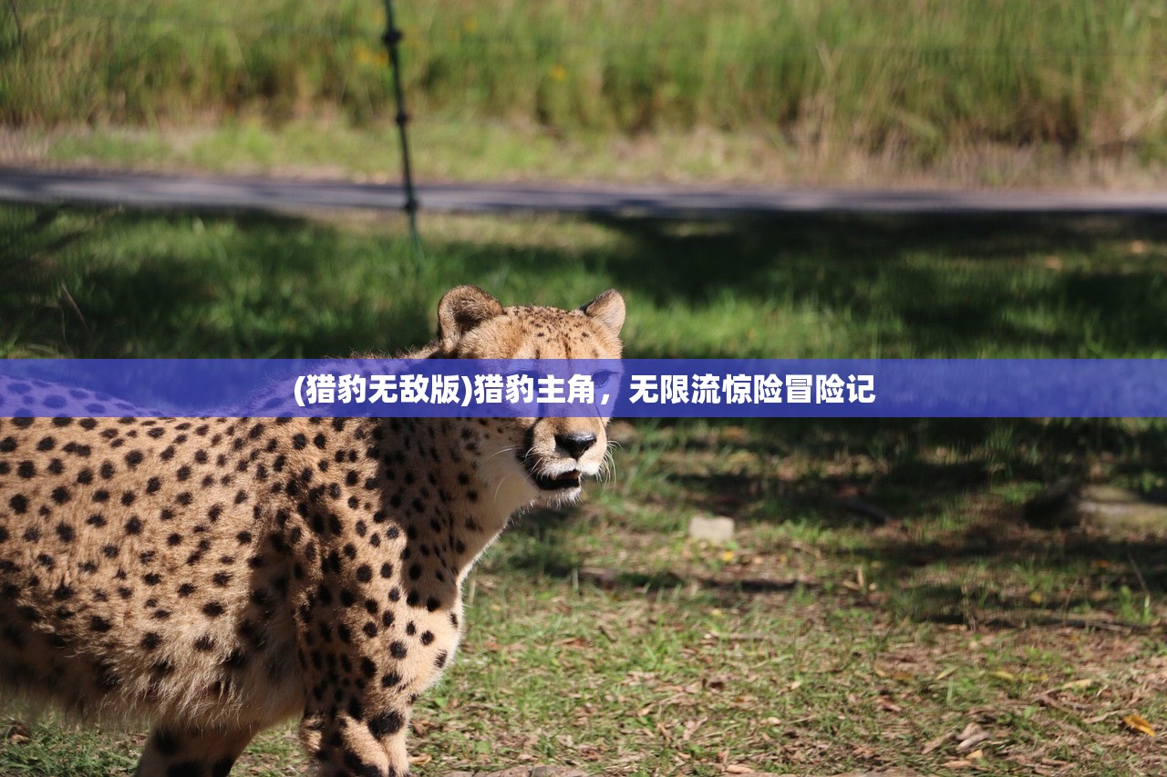 (心在萌动的意思)心在萌动，激活码的神秘魅力与探索之旅