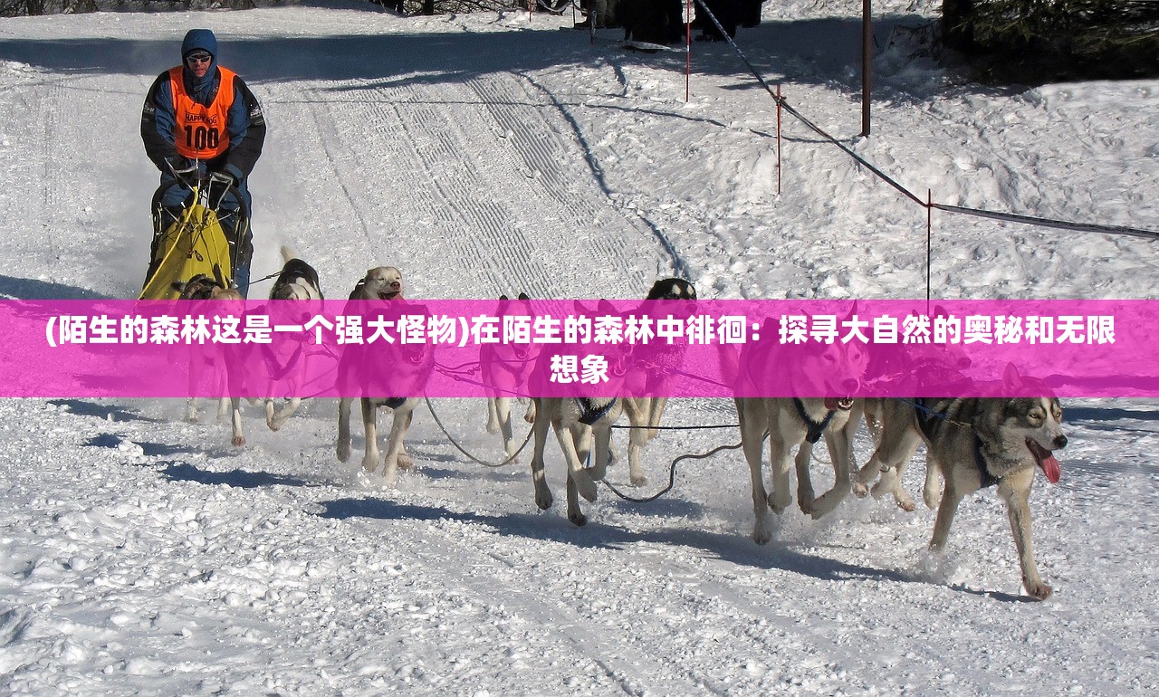 (一战成名,群雄俯首是什么生肖)一战群雄，历史背景下的群雄争霸与全球格局重塑