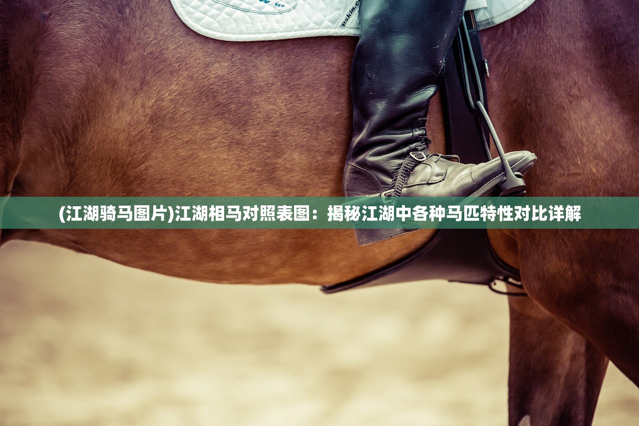 (三国群英传m猛将杀王)群英猛将传攻略大全及常见问题解答