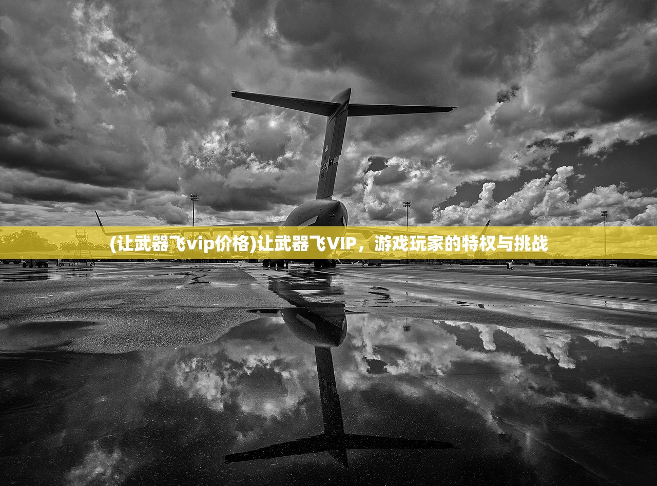 (疾风剑魂-真无限钻石)疾风剑魂手游满V版，游戏解析与常见问题解答