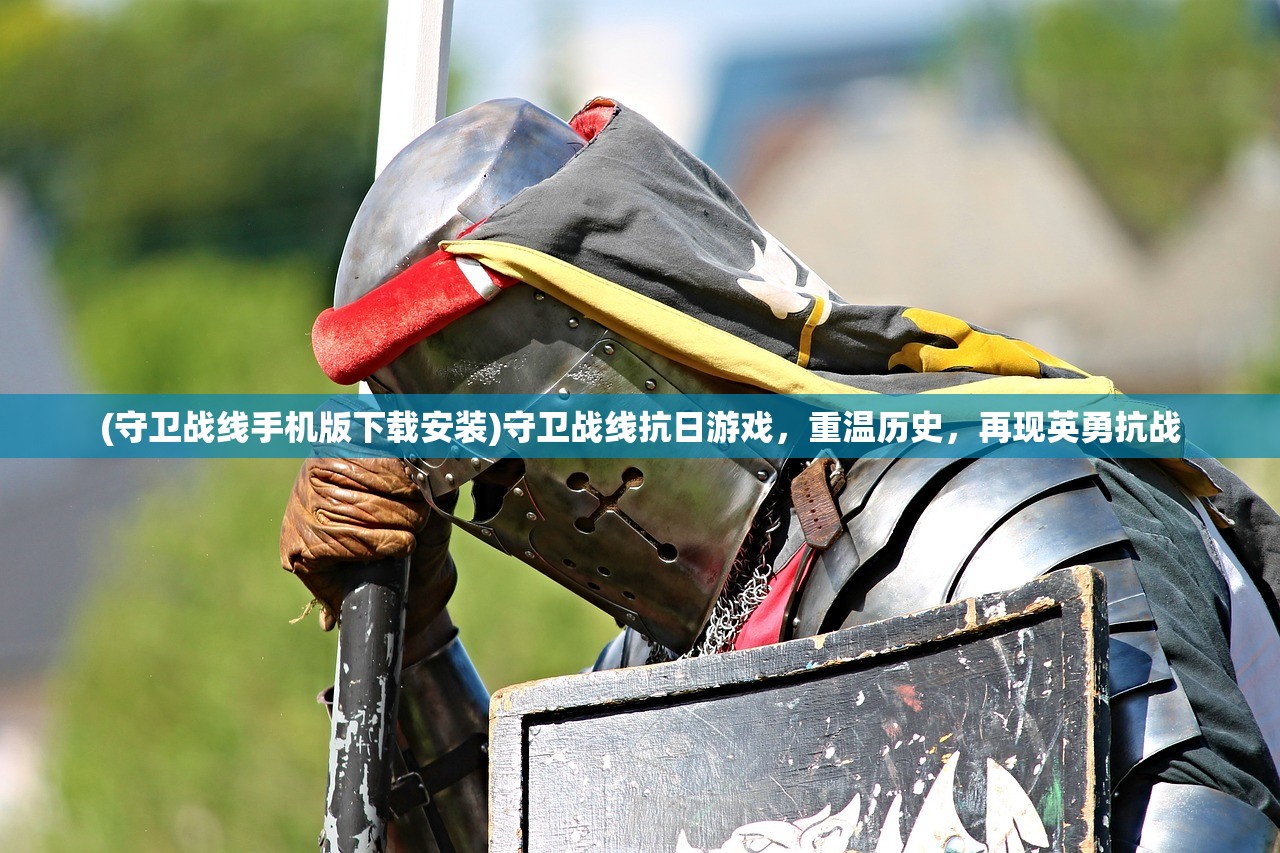 (侠影神剑在线观看)侠影神剑，深入解析与评价