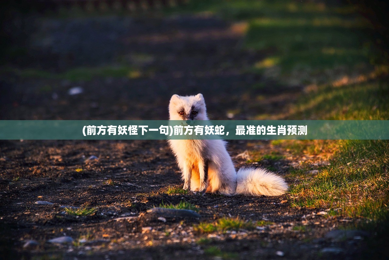 (恋爱消星星红包版)恋爱消星星游戏攻略，玩转这款甜蜜恋爱模拟游戏