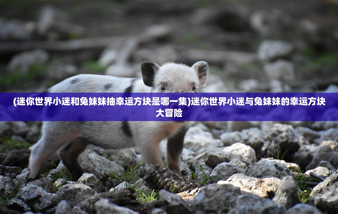 (迷你世界小迷和兔妹妹抽幸运方块是哪一集)迷你世界小迷与兔妹妹的幸运方块大冒险
