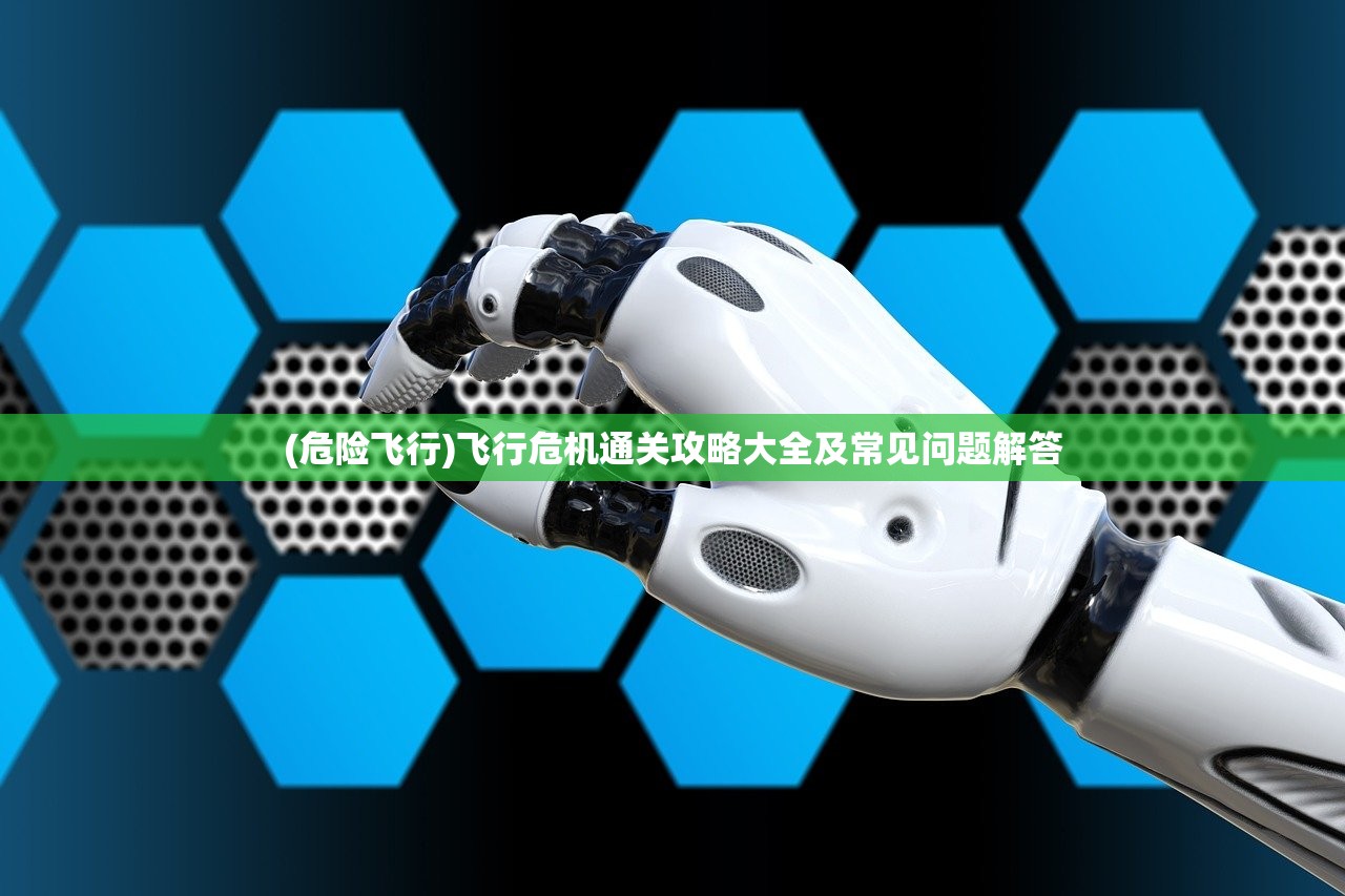 (危险飞行)飞行危机通关攻略大全及常见问题解答