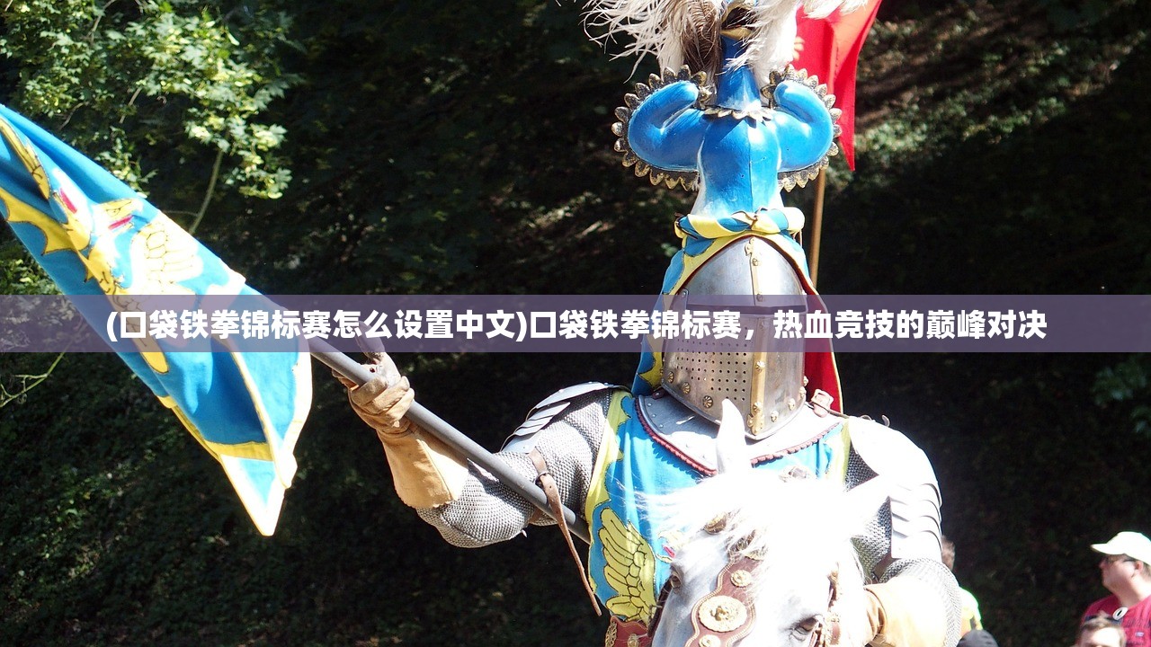 (口袋铁拳锦标赛怎么设置中文)口袋铁拳锦标赛，热血竞技的巅峰对决