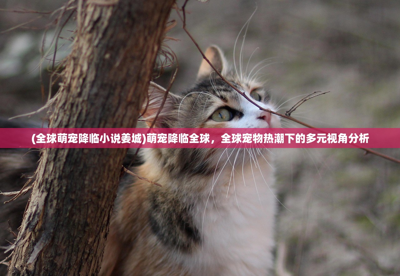 (黑月手游次元领主)黑月次元领主，六大神器武器推荐及详解