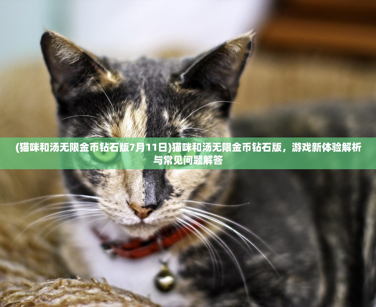 (阴阳双修视频在线观看)合体双修宁凡日御千女，神秘的修炼之道与多元探索