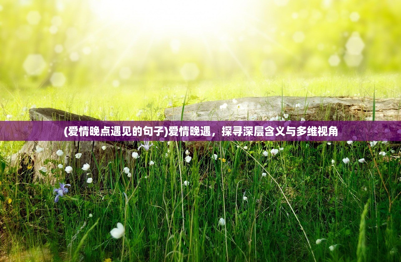 (爱情晚点遇见的句子)爱情晚遇，探寻深层含义与多维视角