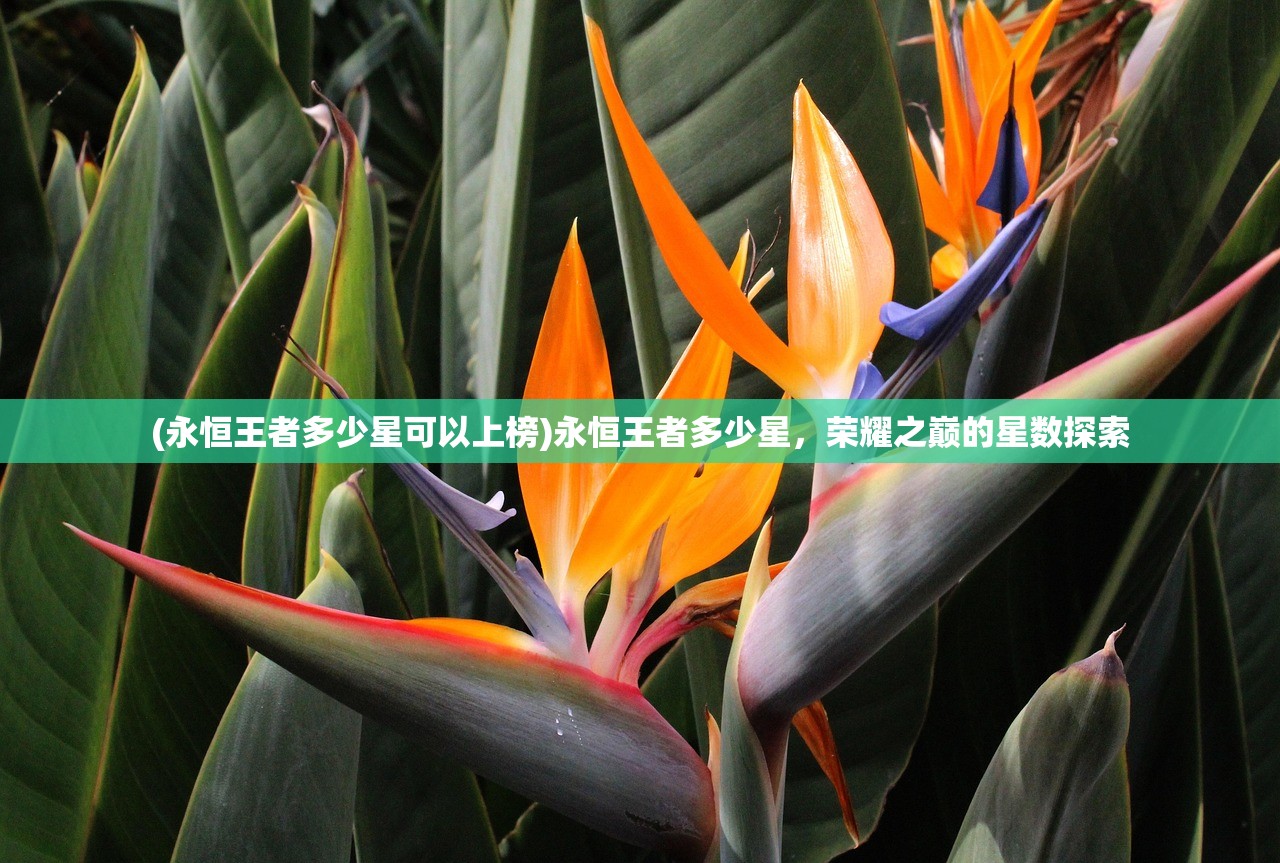 (永恒王者多少星可以上榜)永恒王者多少星，荣耀之巅的星数探索