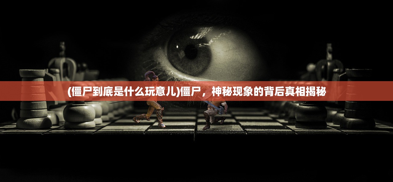 (剑与轮回互通吗)剑与轮回下架原因深度解析