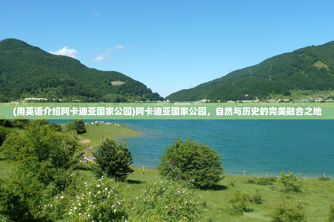 (大圣外传阵容搭配攻略)大圣外传阵容搭配策略及常见问答