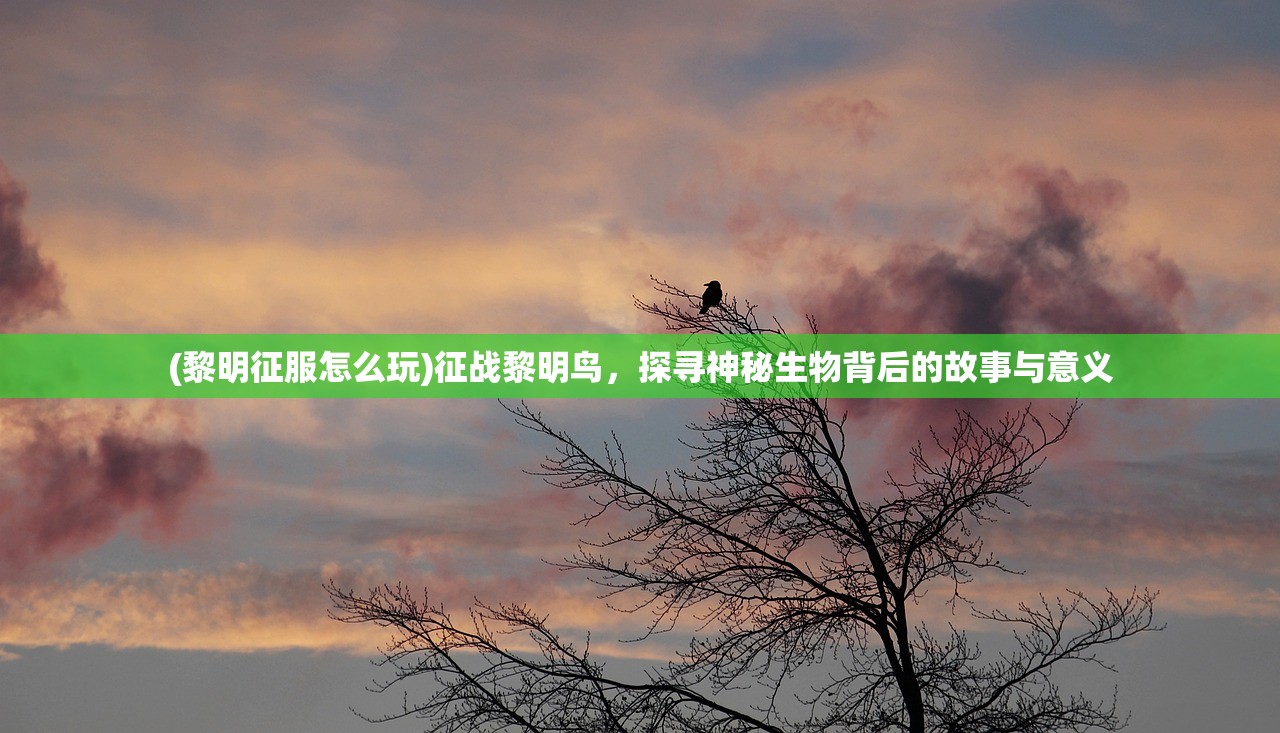 (西游回合版攻略)西游回合版，深度解析与常见问题解答