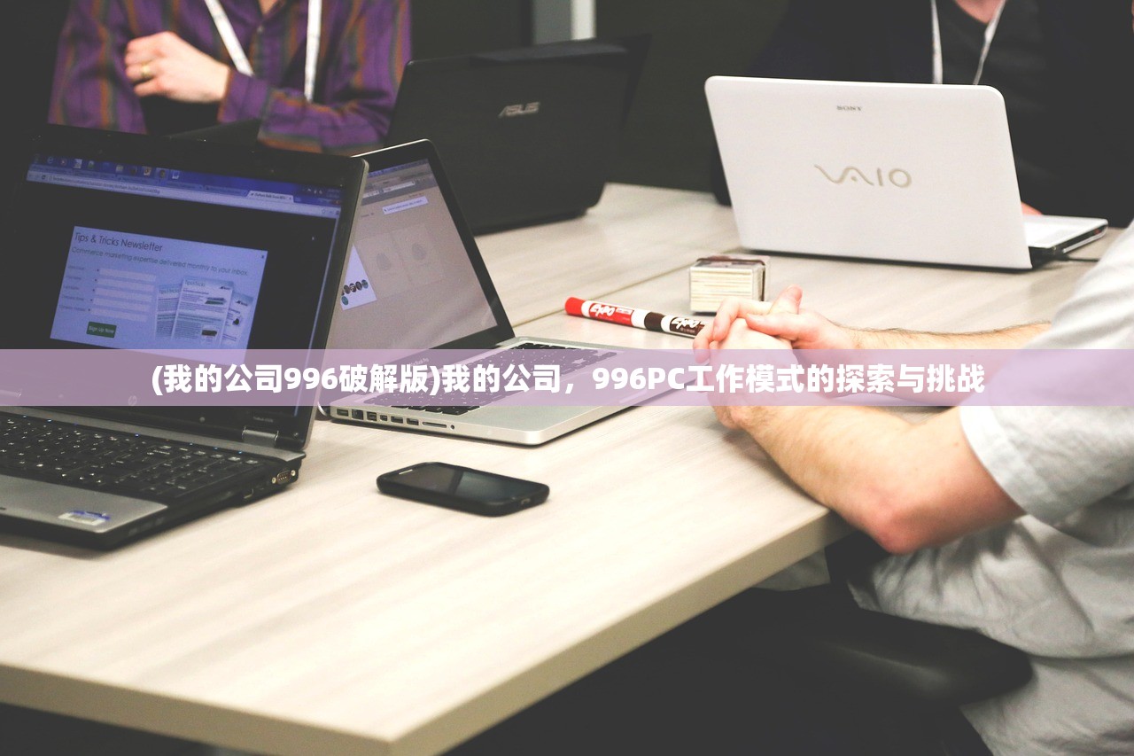 (西游回合版攻略)西游回合版，深度解析与常见问题解答