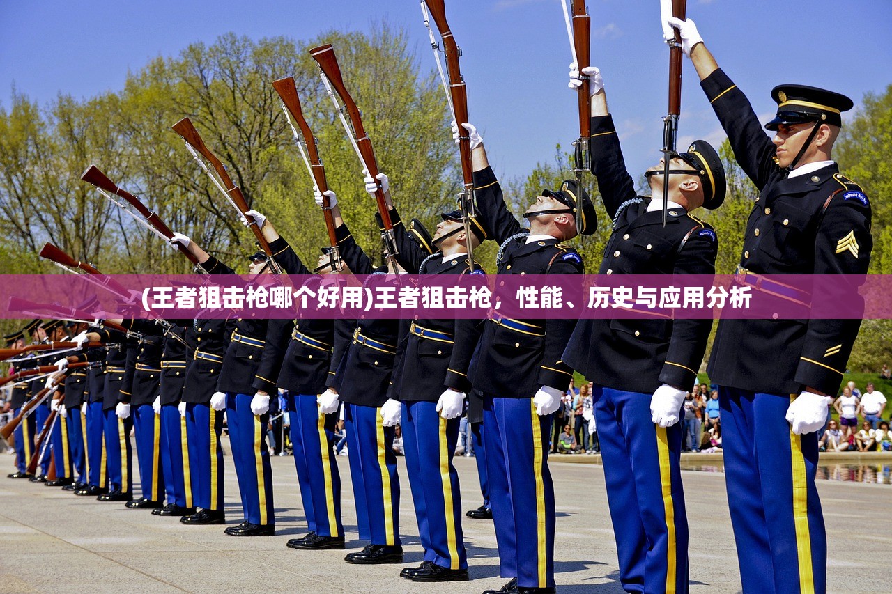 (王者狙击枪哪个好用)王者狙击枪，性能、历史与应用分析