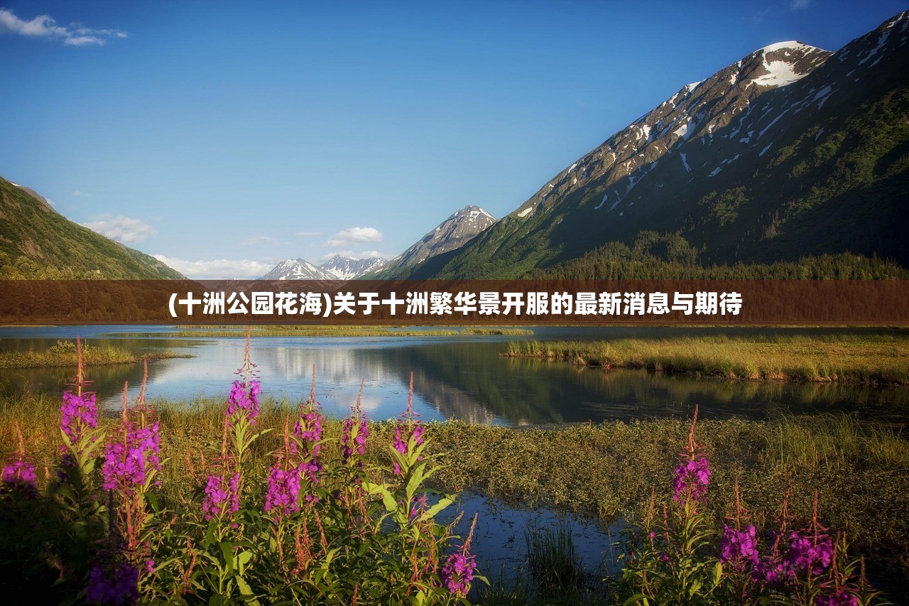 (芝士甜心)甜芝士sweech怎么了？探究其背后的故事与现状