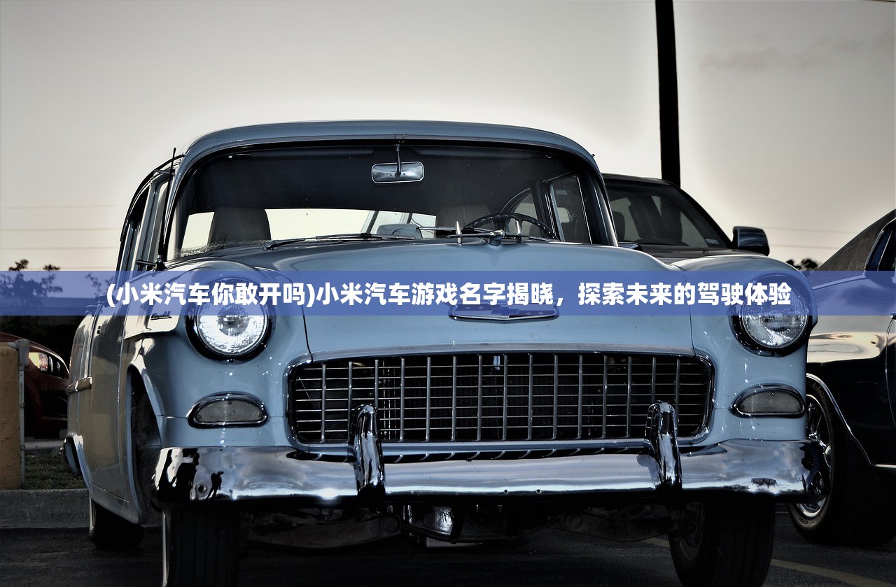 (小米汽车你敢开吗)小米汽车游戏名字揭晓，探索未来的驾驶体验