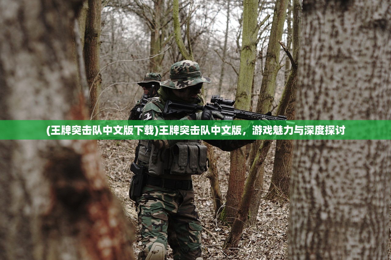 (王牌突击队中文版下载)王牌突击队中文版，游戏魅力与深度探讨