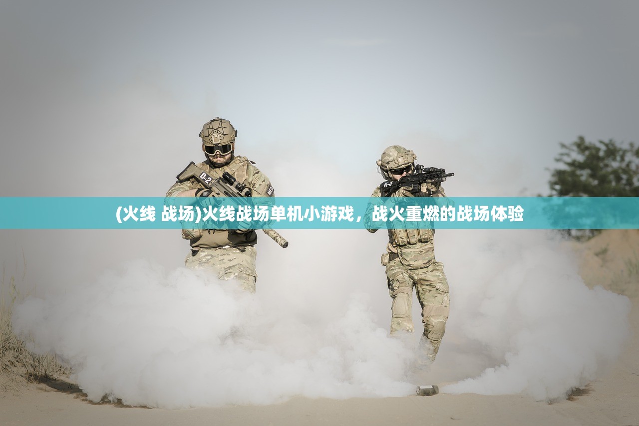 (火线 战场)火线战场单机小游戏，战火重燃的战场体验