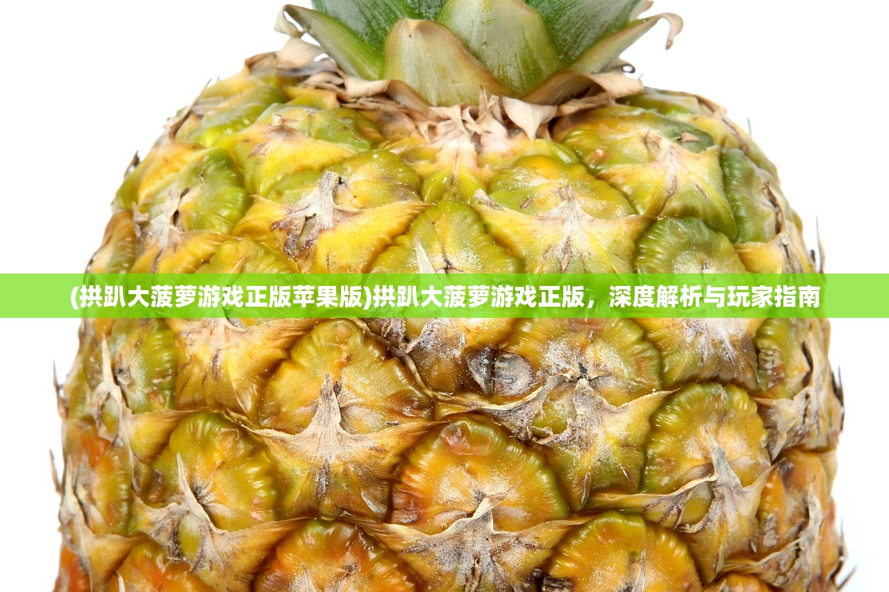 (豪杰成长计划怎么见皇上)豪杰成长计划，如何玷污皇后的误解与解析