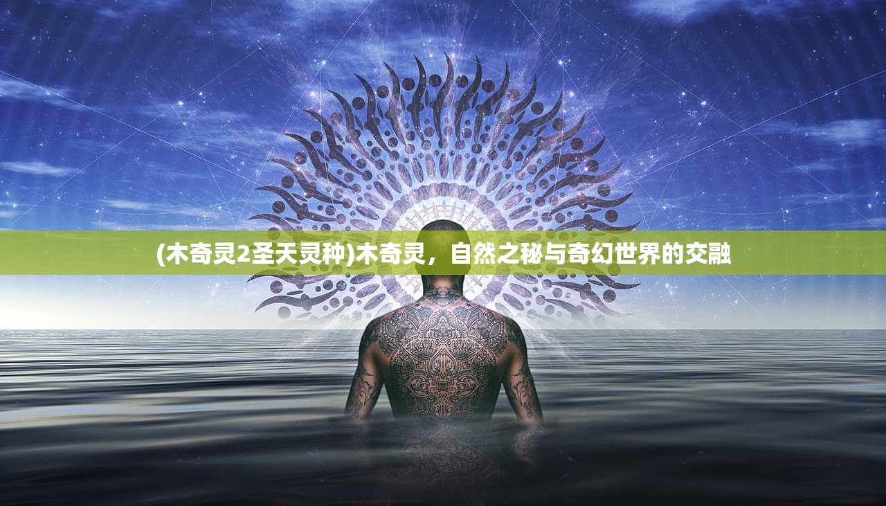 (水煮群雄最强阵容)水煮群雄阵容推荐，策略分析与最佳组合探讨