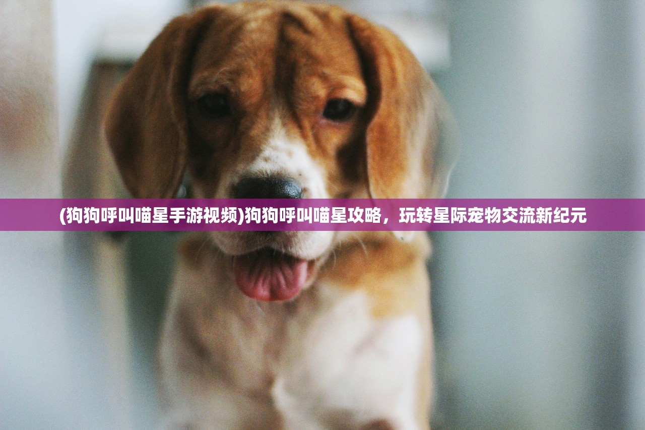 (开局就是小县令免费阅读下载)开局就是小县令，免费阅读及深度解析