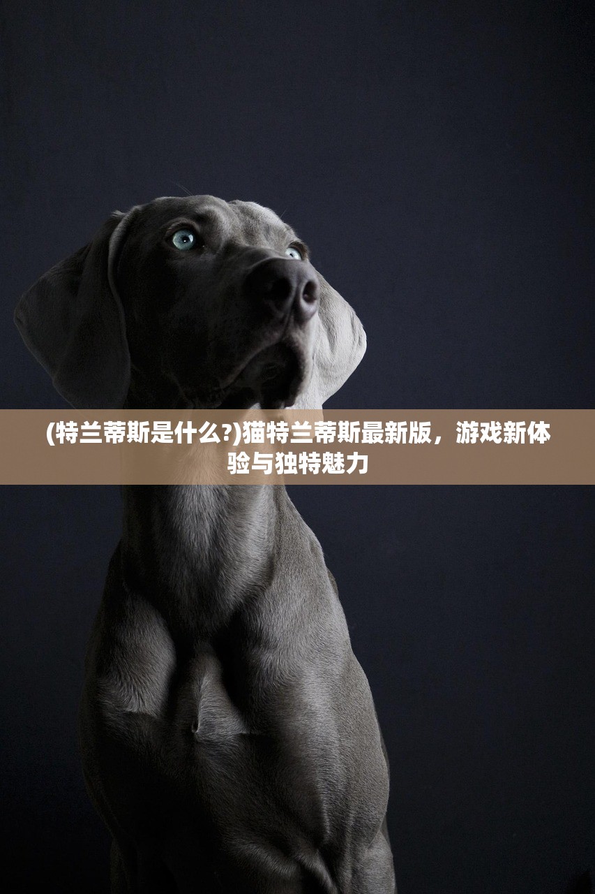 (武神吕小布手游攻略)武神吕小布手游，穿越神话的冒险之旅