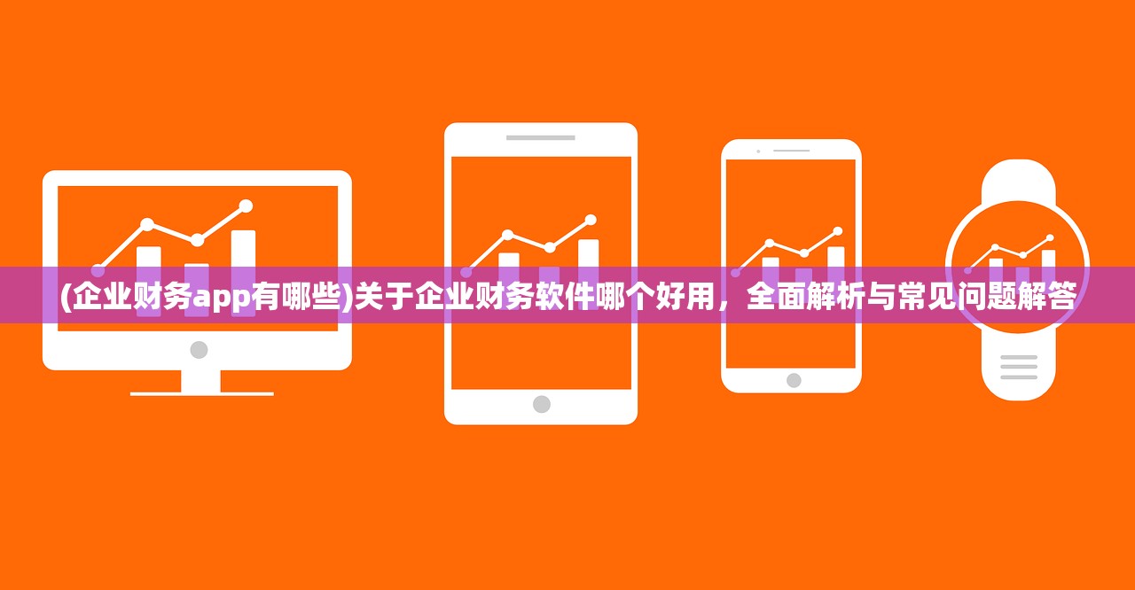 (企业财务app有哪些)关于企业财务软件哪个好用，全面解析与常见问题解答