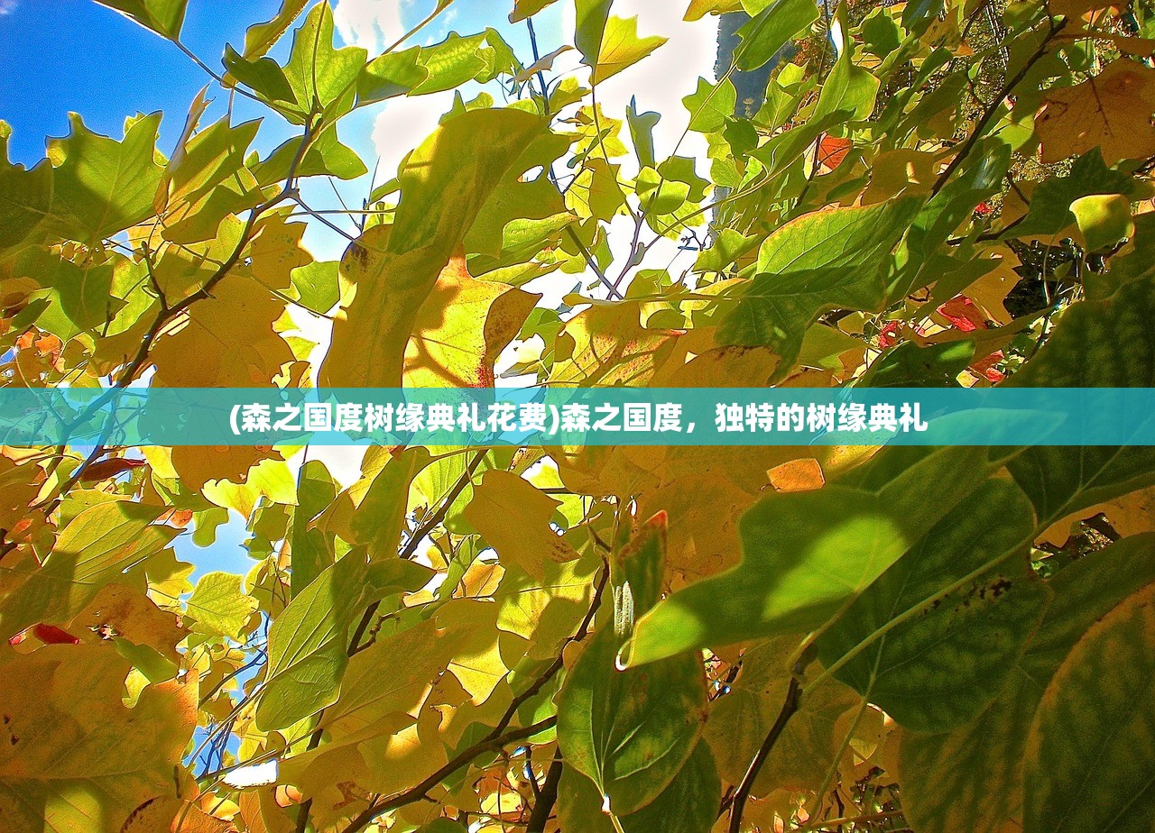 (森之国度树缘典礼花费)森之国度，独特的树缘典礼