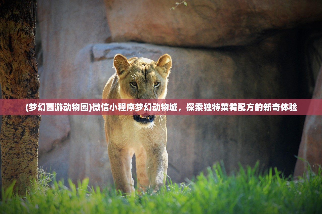 (混沌三国最强阵容排名)混沌三国最强阵容，策略、英雄与战术的完美结合