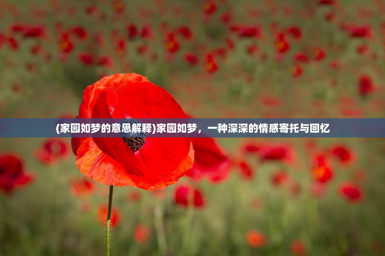 (扶摇为什么会在梦里练功)扶摇一梦下架原因深度解析