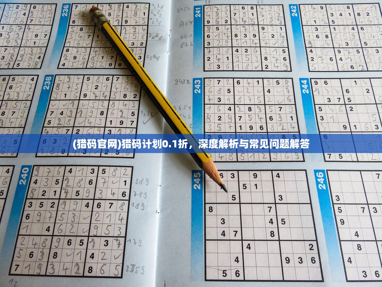 (猎码官网)猎码计划0.1折，深度解析与常见问题解答