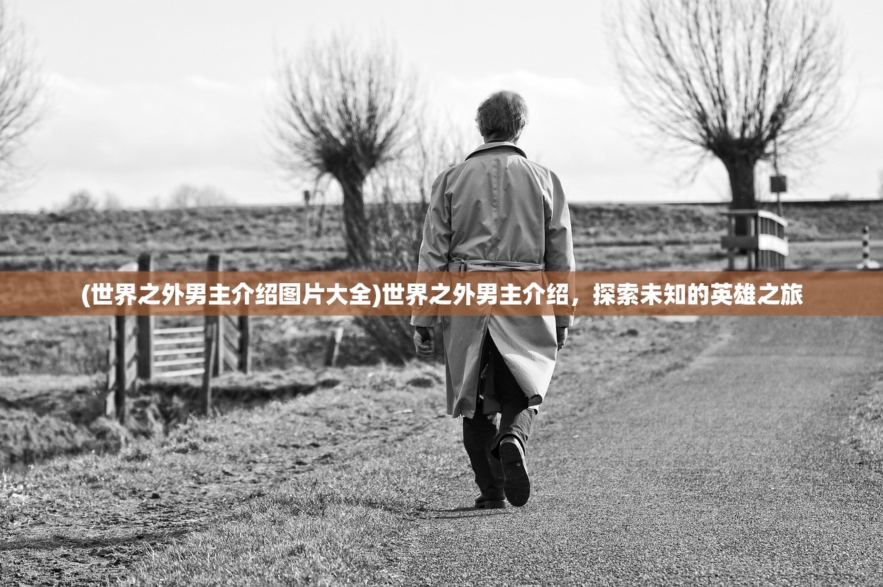 (世界之外男主介绍图片大全)世界之外男主介绍，探索未知的英雄之旅