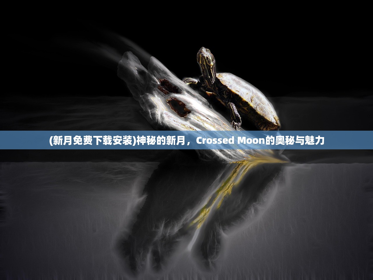 (新月免费下载安装)神秘的新月，Crossed Moon的奥秘与魅力
