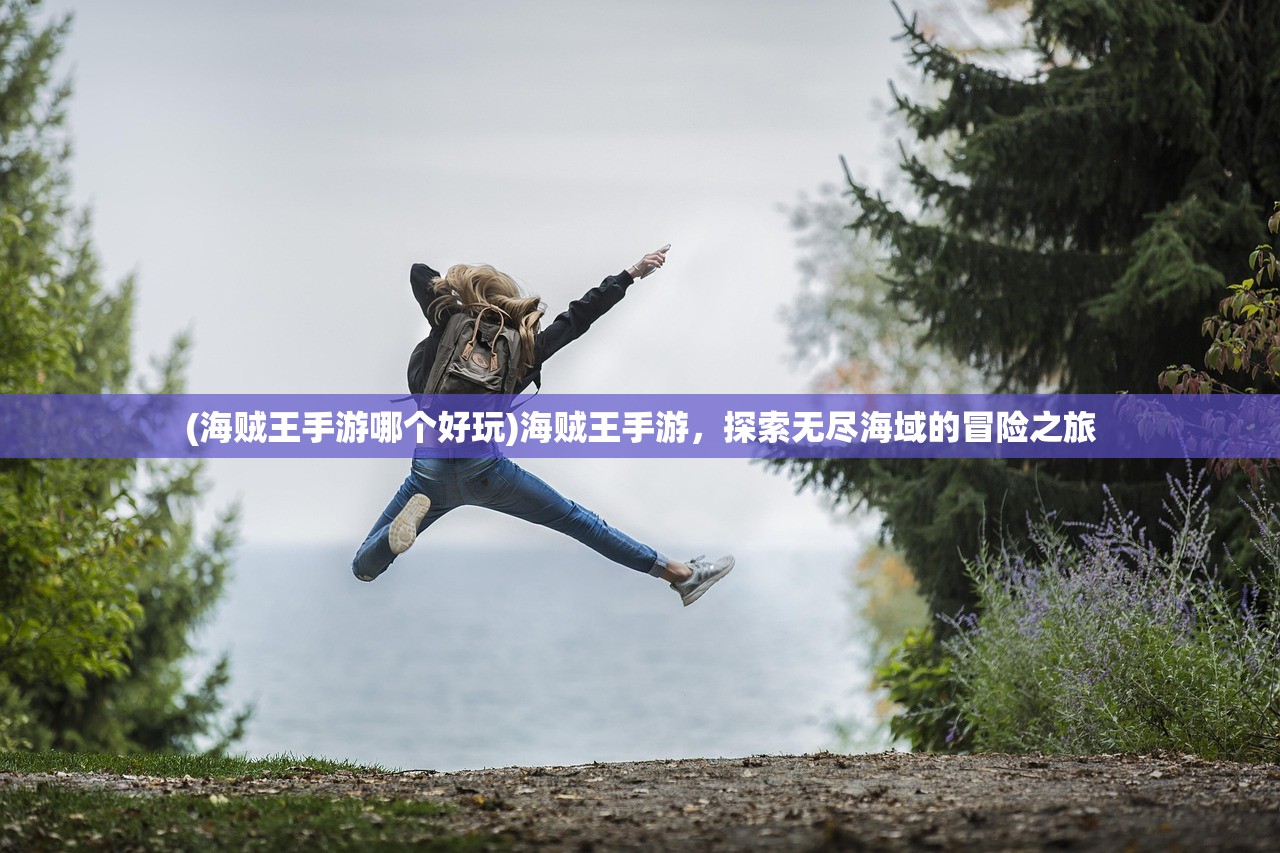 (海贼王手游哪个好玩)海贼王手游，探索无尽海域的冒险之旅