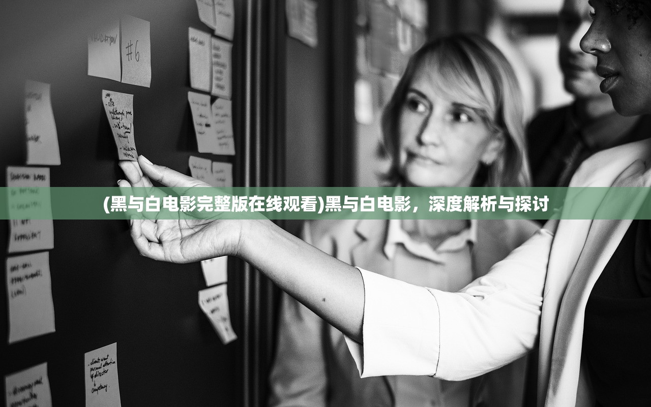 (黑与白电影完整版在线观看)黑与白电影，深度解析与探讨