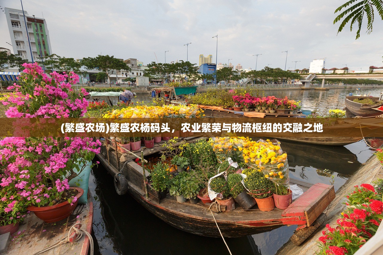 (繁盛农场)繁盛农杨码头，农业繁荣与物流枢纽的交融之地