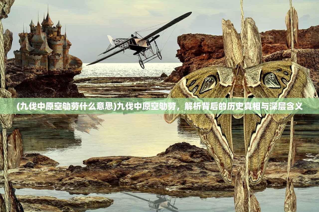 (九伐中原空劬劳什么意思)九伐中原空劬劳，解析背后的历史真相与深层含义