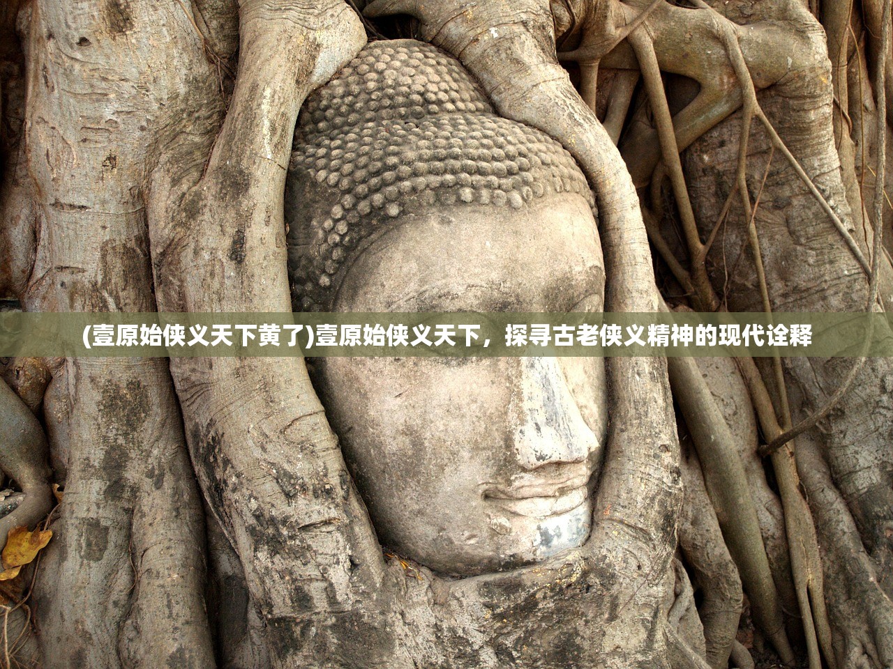 (壹原始侠义天下黄了)壹原始侠义天下，探寻古老侠义精神的现代诠释