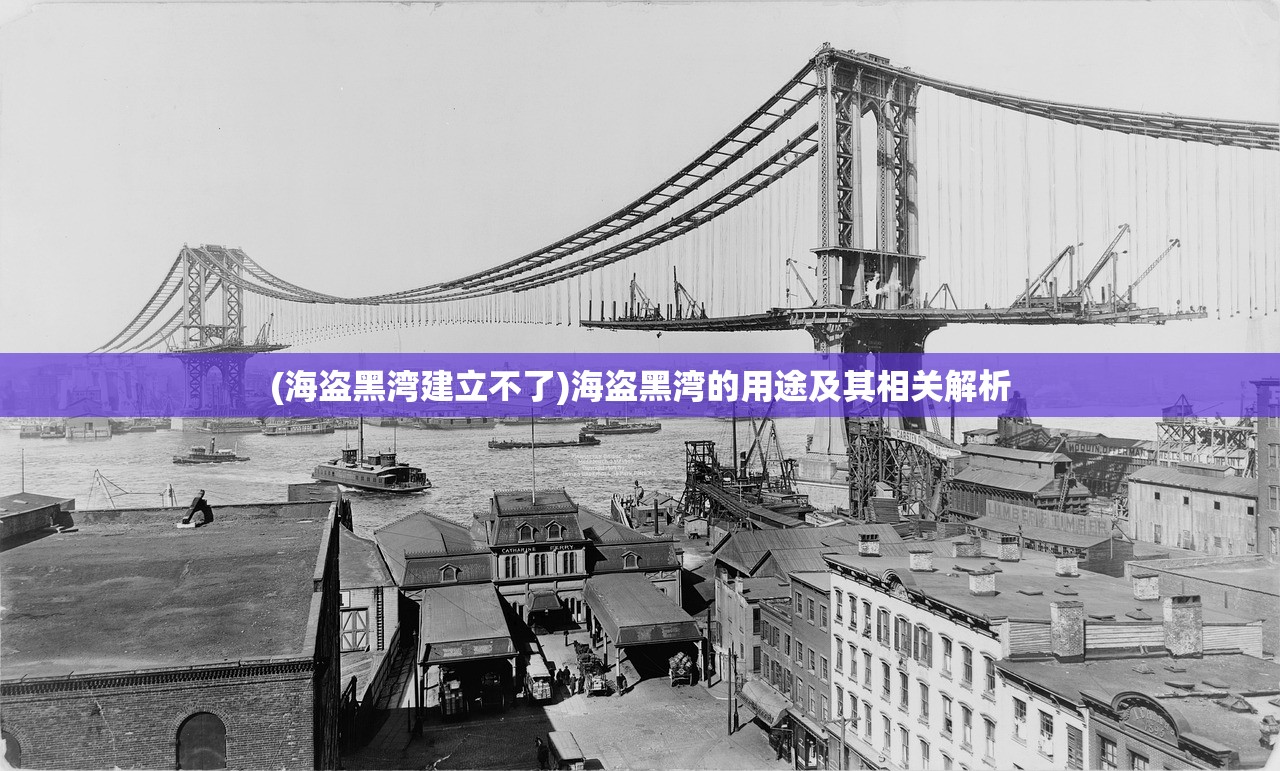 (海盗黑湾建立不了)海盗黑湾的用途及其相关解析