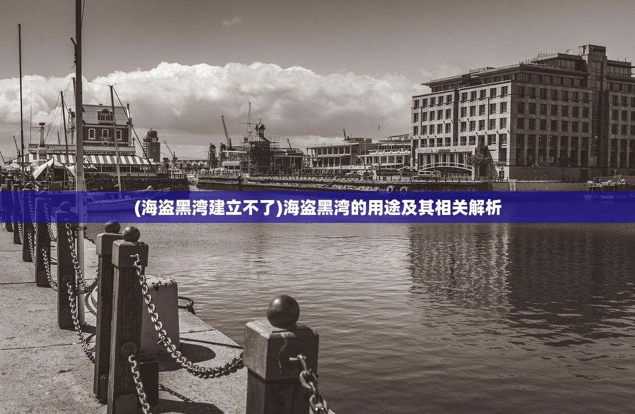 (海盗黑湾建立不了)海盗黑湾的用途及其相关解析