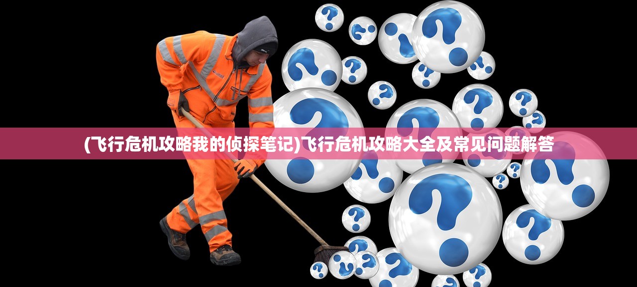 (飞行危机攻略我的侦探笔记)飞行危机攻略大全及常见问题解答