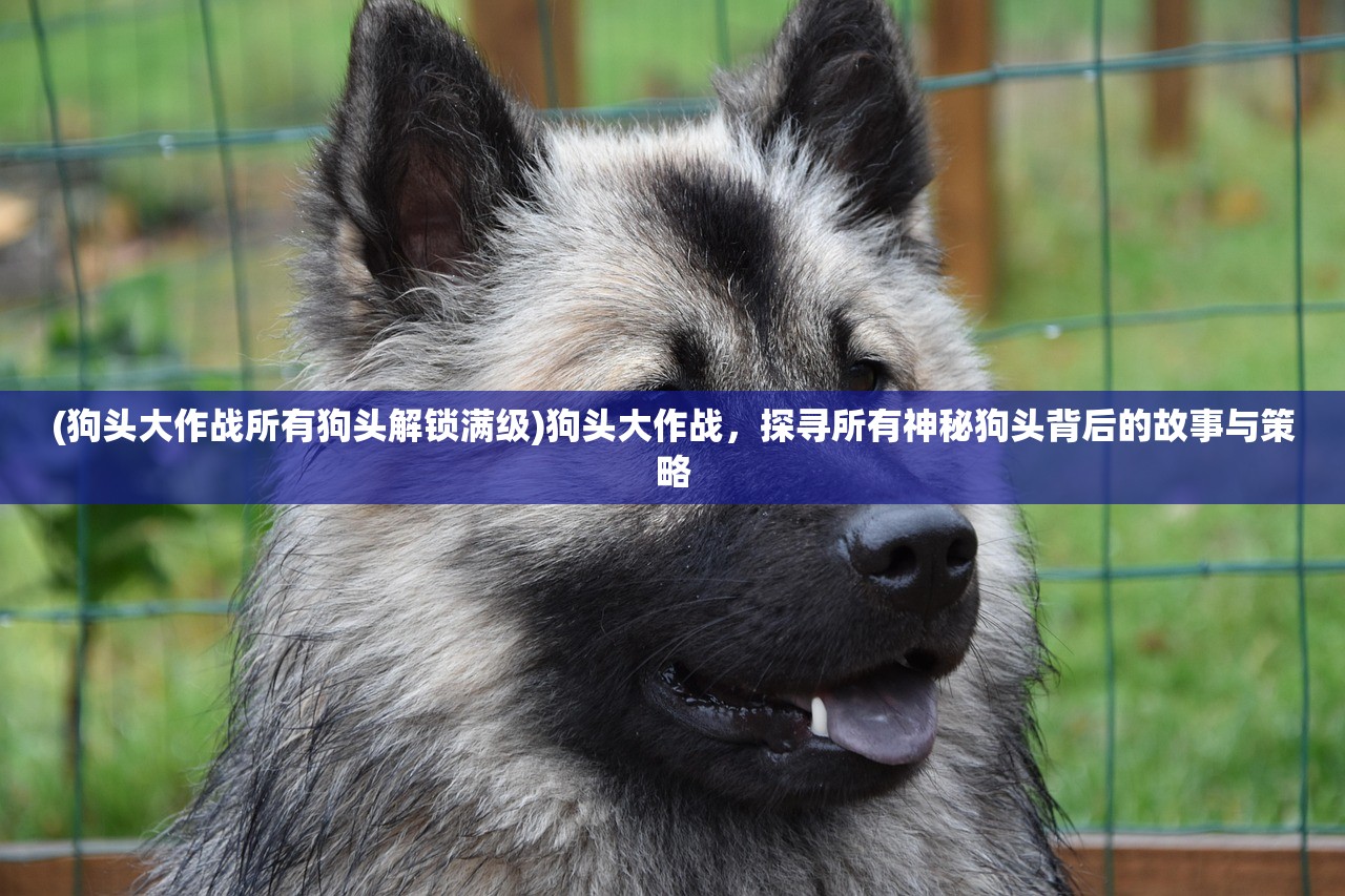 (狗头大作战所有狗头解锁满级)狗头大作战，探寻所有神秘狗头背后的故事与策略