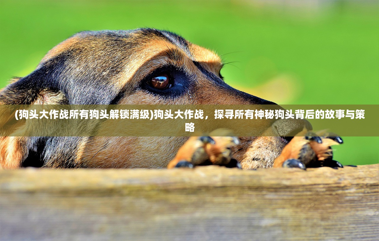 (狗头大作战所有狗头解锁满级)狗头大作战，探寻所有神秘狗头背后的故事与策略