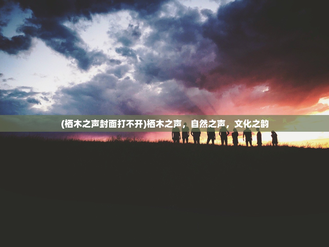 (栖木之声封面打不开)栖木之声，自然之声，文化之韵