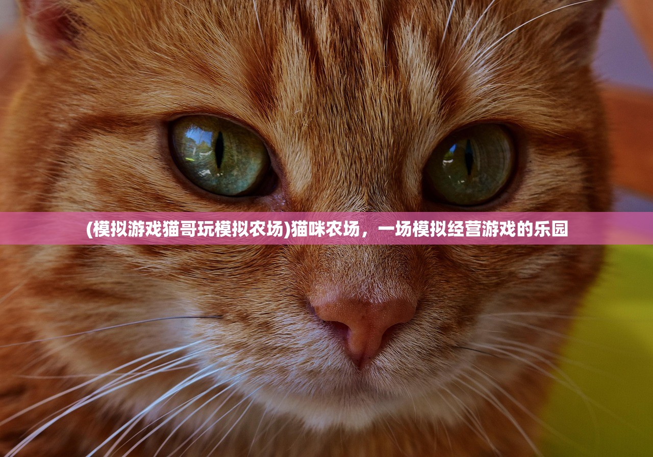 (模拟游戏猫哥玩模拟农场)猫咪农场，一场模拟经营游戏的乐园