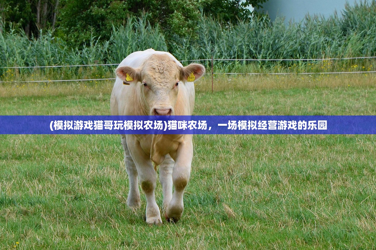 (模拟游戏猫哥玩模拟农场)猫咪农场，一场模拟经营游戏的乐园